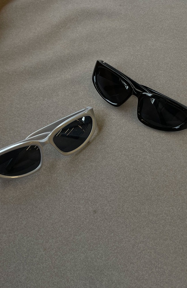 N18125 Sunglasses  (2 color)